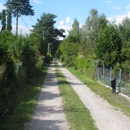 CACHES/images/gallery/2026/03/21/a3db2f297bed2ae57761f840b9d8db9ffa444b450eba7b6fb66a33b9da9a93d1/c1dcf0a8a36a1bf6f4abe12fc95b7fea.avif-thumbnail