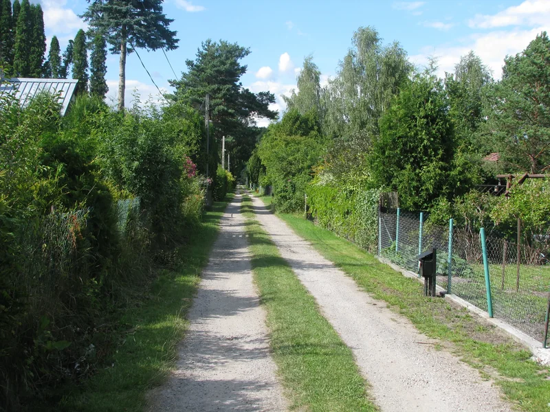 gallery/2026/02/01/d649481581b0ec52d7d0525488f4b28a0ceea84749ba6a9437179effc718a6c5.webp-thumbnail